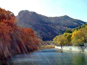 澳门二四六天天彩图库，深圳机场到罗湖口岸